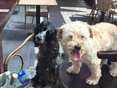 The Irish Anchor Tenerife