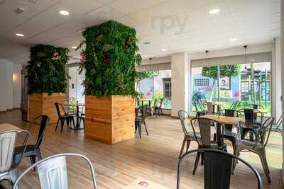 City Poké - Castellón