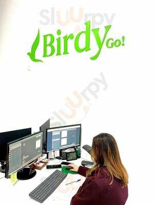 Birdy Go