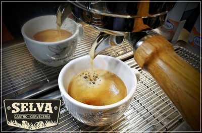 Selva Gastro Cervecería