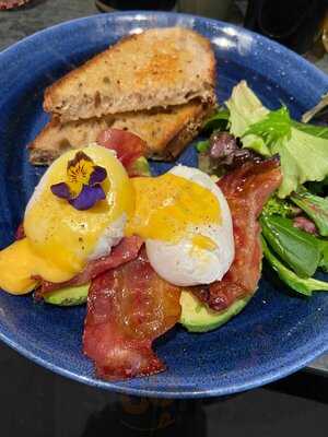 The Avocado Show - Madrid Chueca