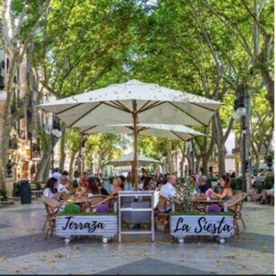 Cafeteria La Siesta Terraza