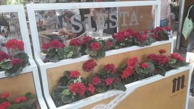 Cafeteria La Siesta Terraza