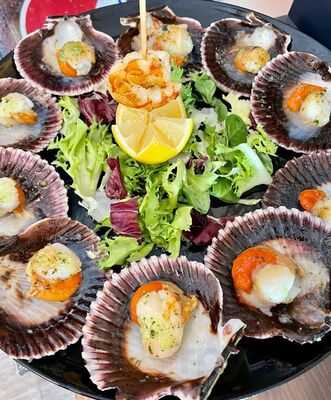 La Flor De Los Torviso