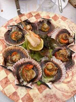 La Flor De Los Torviso