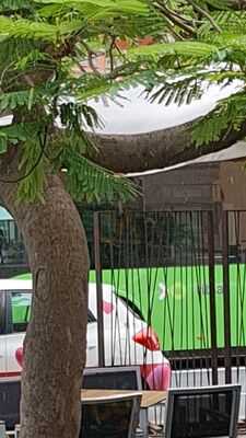 La Tahona Bar De Tapas