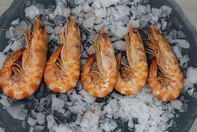 El Ermitaño De Paco