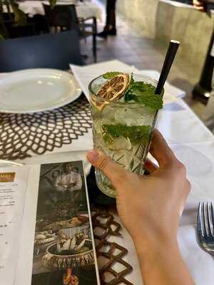 Zoco, Arabic New Concept