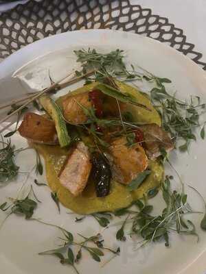 Zoco, Arabic New Concept