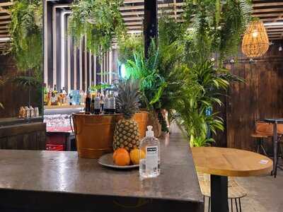 La Selva De Ponzano - Photo 8