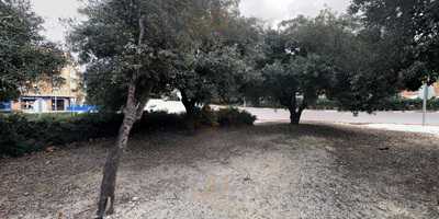 Domino's Pizza Massanasa