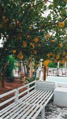 La Rana - Gata De Gorgos