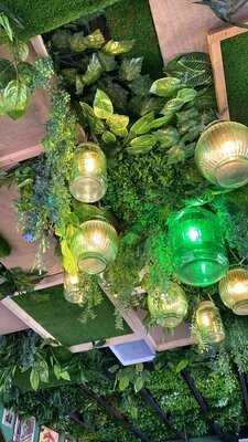 Jackson American Carrus