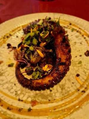 Jackson American Carrus