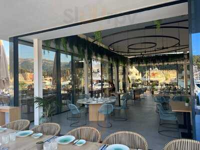 Suculenta Port De Sóller