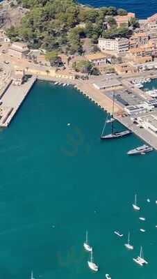 Suculenta Port De Sóller