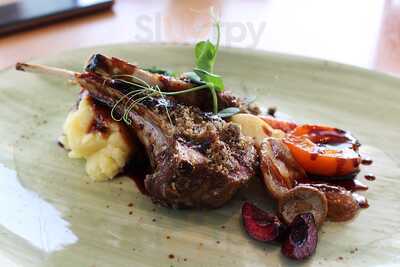 Suculenta Port De Sóller