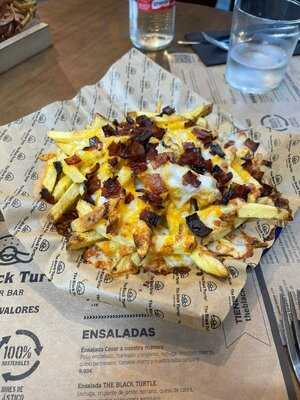 The Black Turtle - Cortes