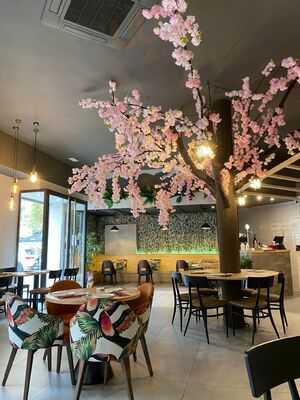 Raibow Ramen & Grill