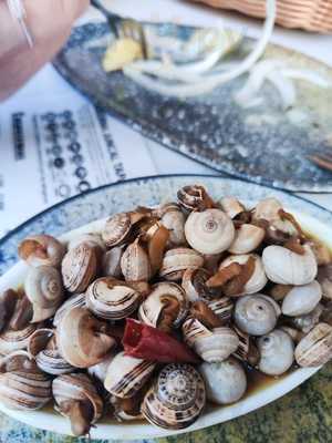 Taberna Juncal Tapas