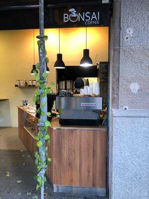 Bonsai Coffee & Matcha