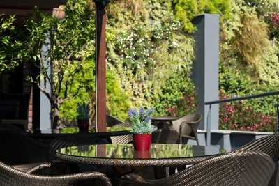 La Terraza Del Pelai