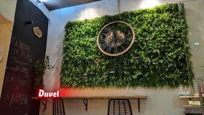 Chicken Of The Woods