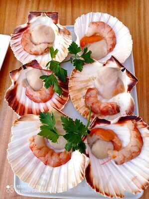 El Patio Del Macarena