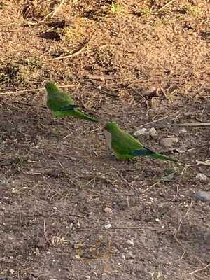 Chiringuito Las Bahamas