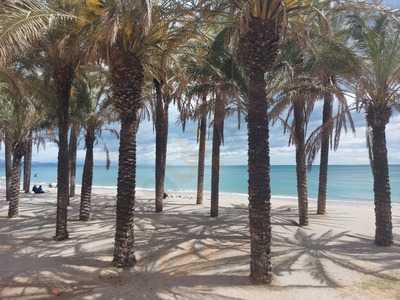 Chiringuito Las Bahamas