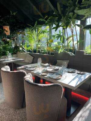 Mogli Marbella - Photo 7