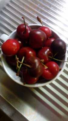 O Recanto Casa Montse