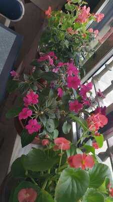 O Recanto Casa Montse