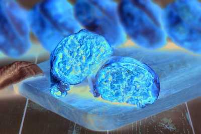 Empanadas Malvón - Zaragoza Universidad