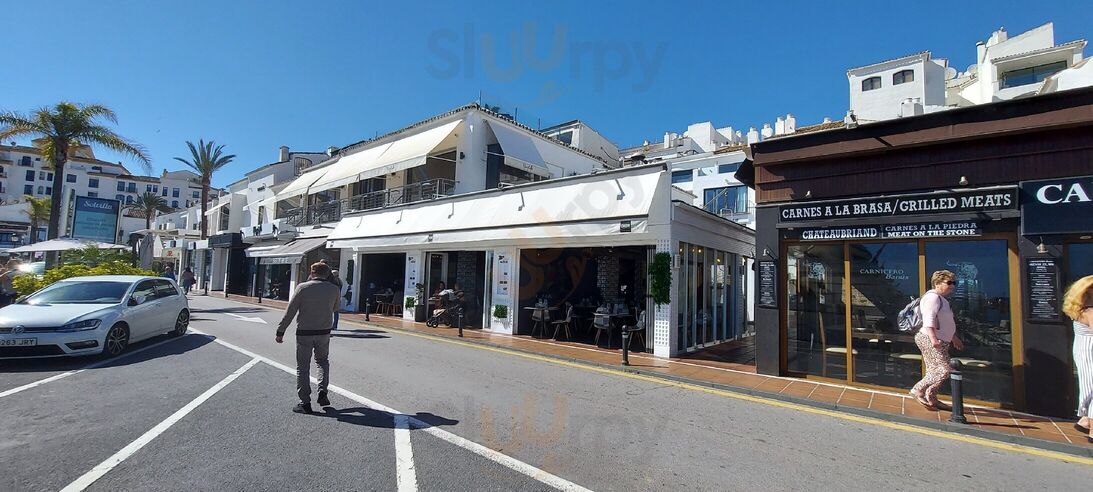 Chow Puerto Banus