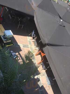 Siete Sellos Gastrobar