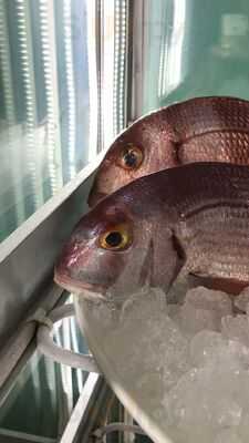 Freiduria Marisqueria Moya