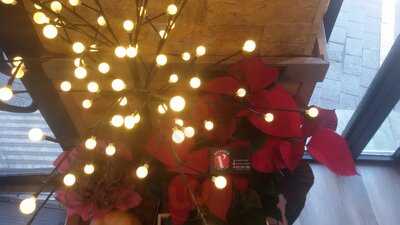 L’enxaneta Vendrell