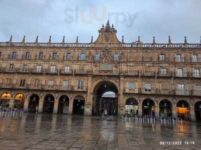 La Tentazion “wild Free”