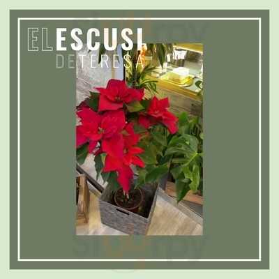 El Escusi De Teresa