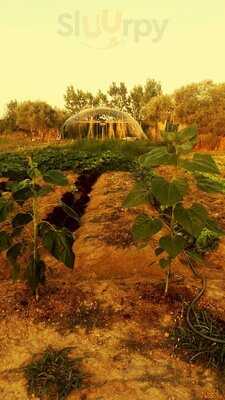 El Chiringuito Del Punky