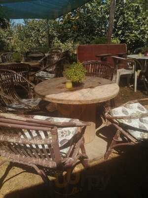 El Chiringuito Del Punky