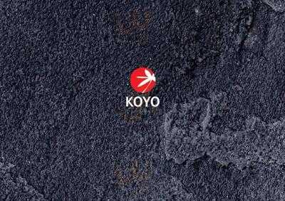 Koyo Sushi (pau Claris)