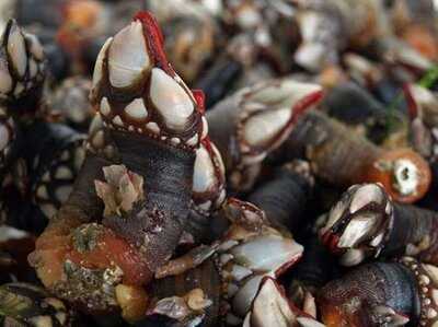 Restaurante As Xaviñanas