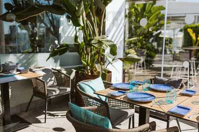 Restaurante Arrozante