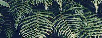 Puerto Rico Gran Canaria