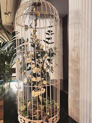 Divina  Locura  Cosmopolitan  Restaurant - Photo 8