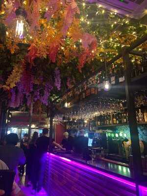 Gallo Nero Ramblas 78