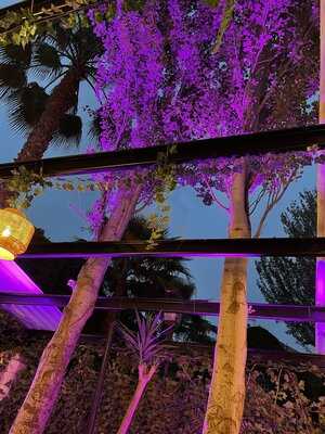 Selva Negra Restaurante