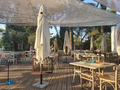 Botánica Eat Drink Play